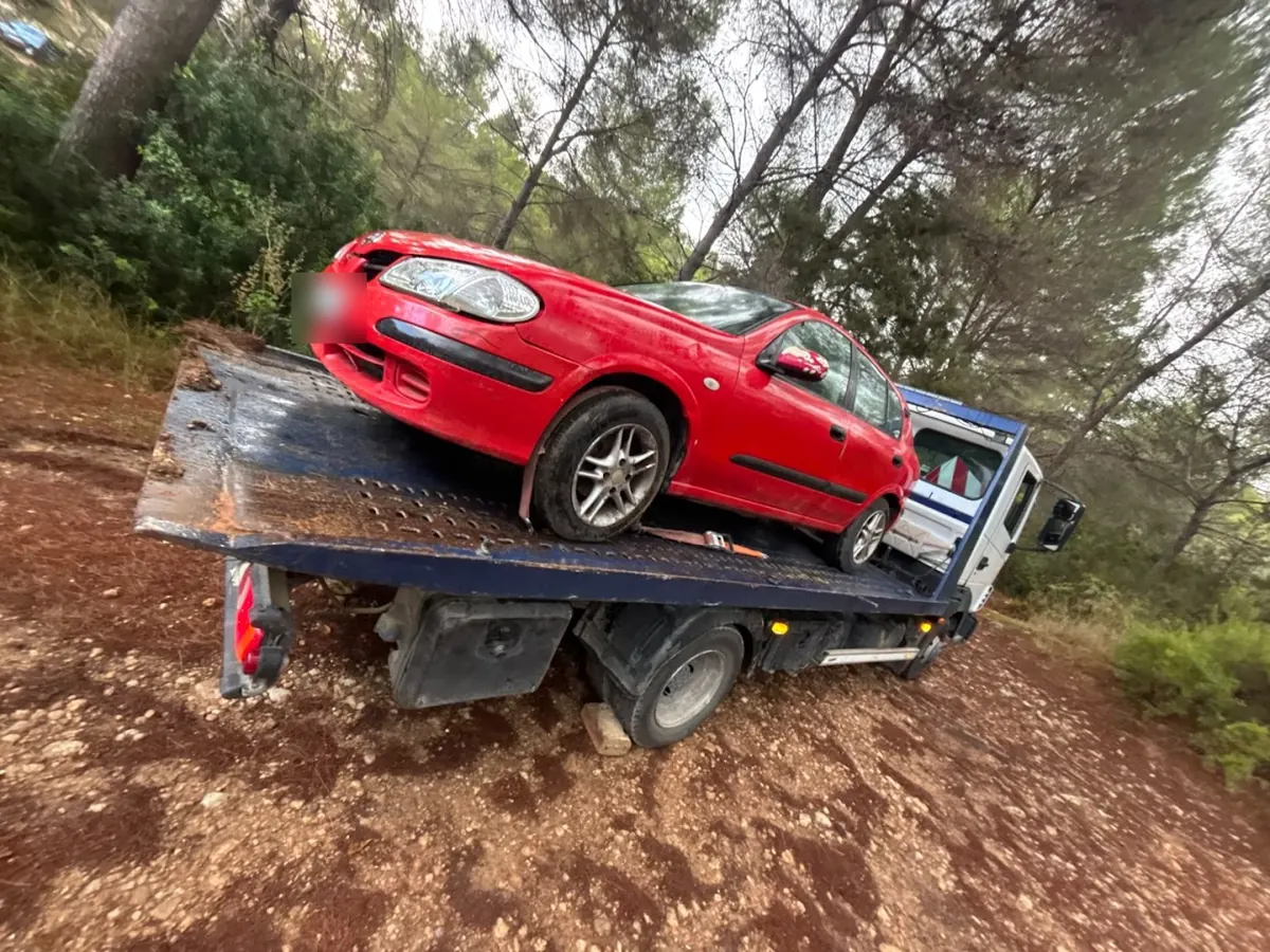 Rotes Auto auf dem Plateau, auf einem Feldweg zwischen Pinien